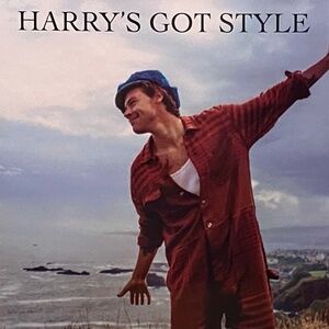 Harry Styles - Harry's Got Style LP Vinyl